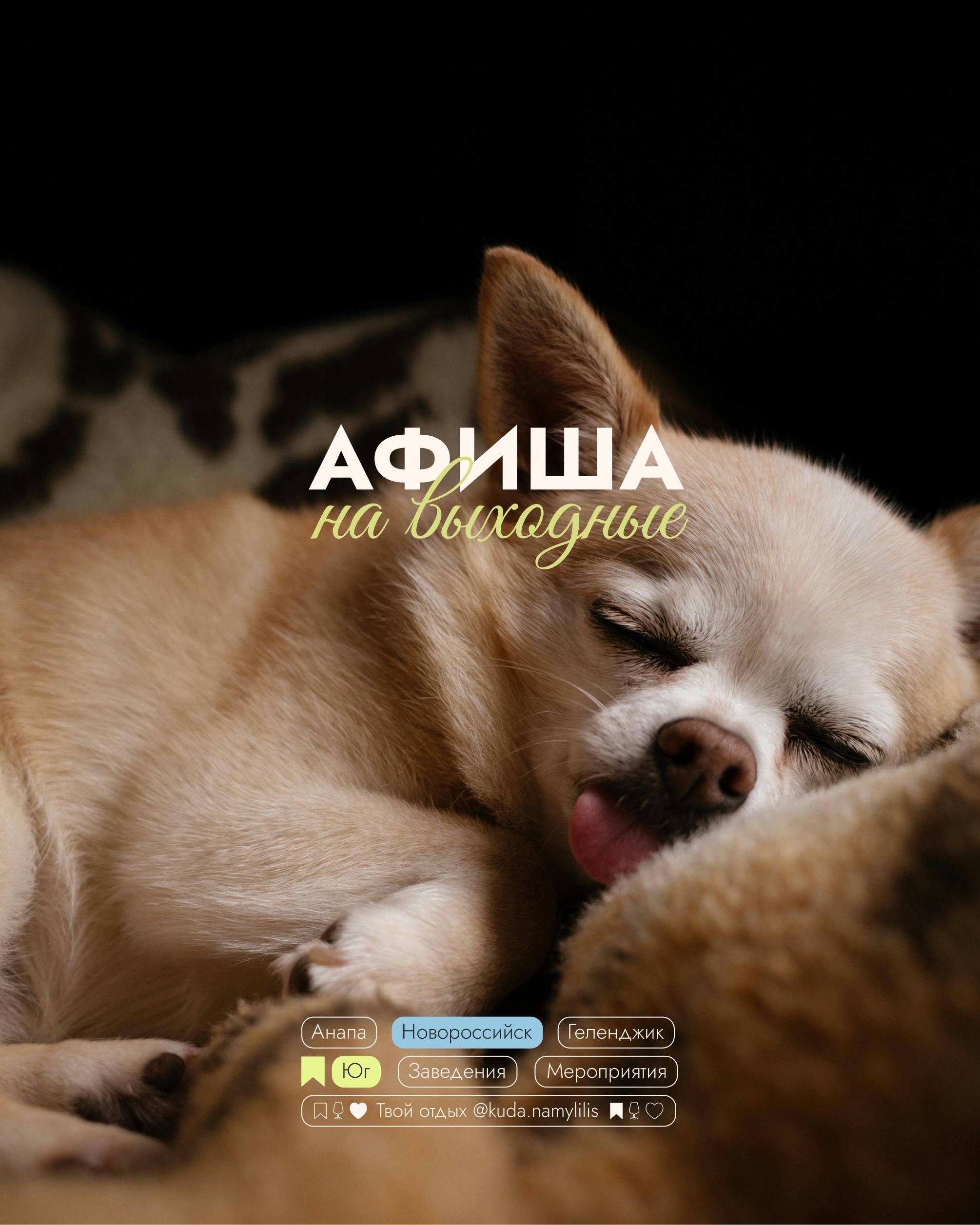 🎟Афиша 17-19 октября
📍Новороссийск